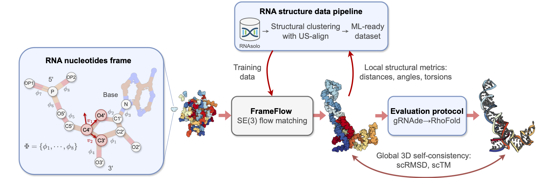 RNA-FrameFlow.png